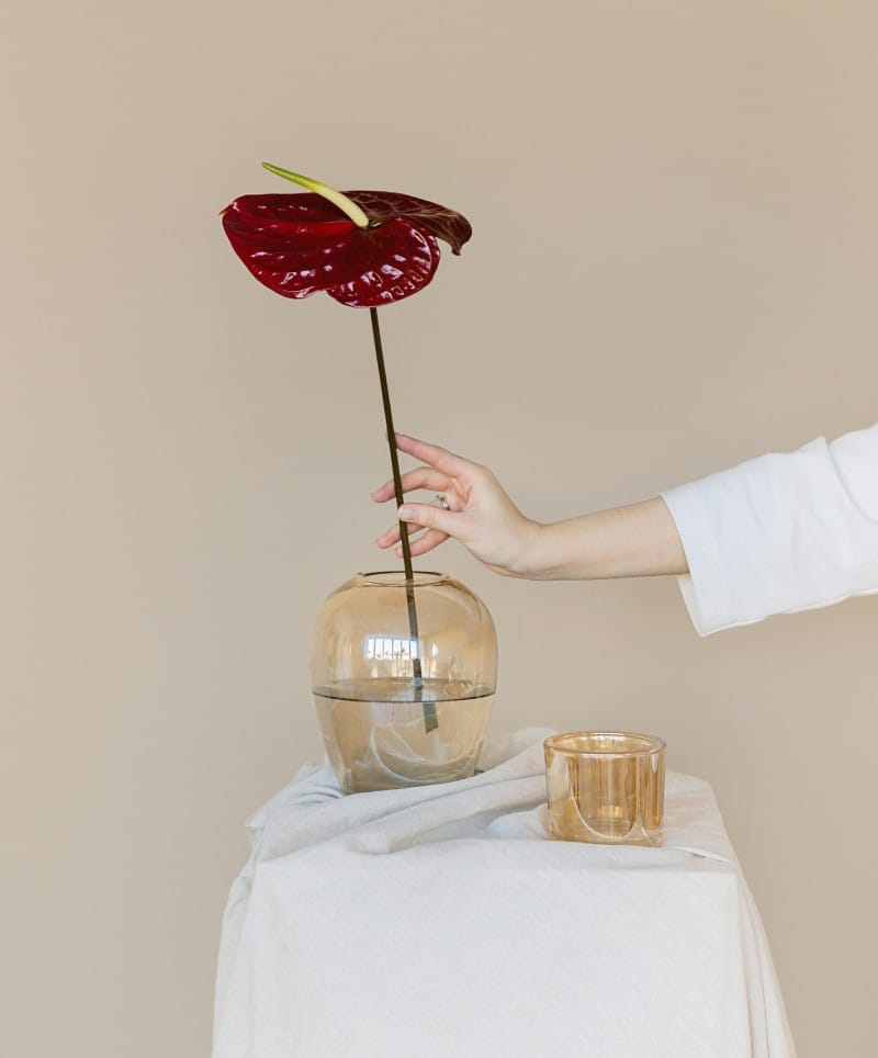 studio-valerie-portfolio-2